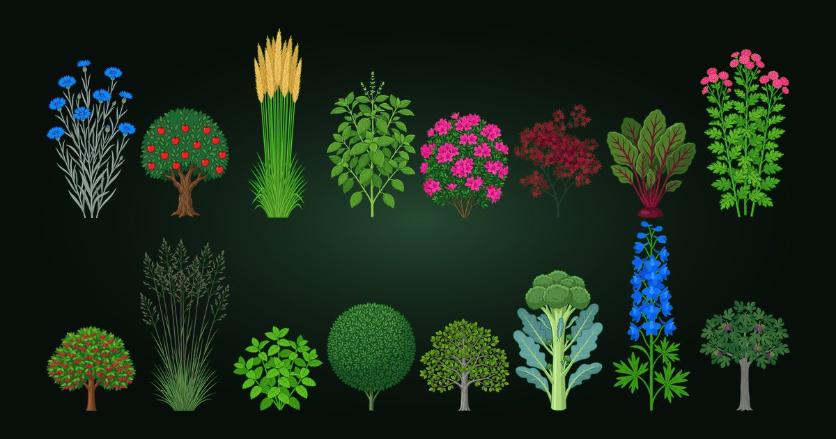 Joao's Garden
