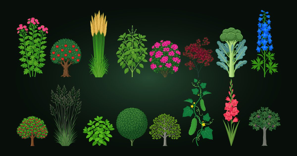 Joao's Garden