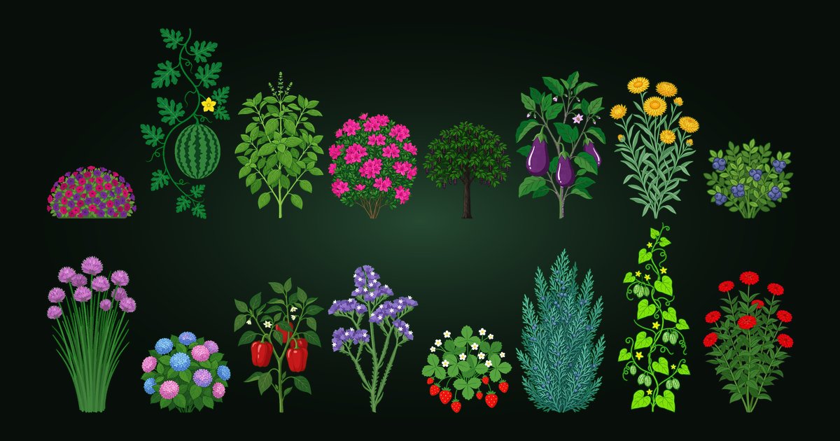 Kristen's Garden